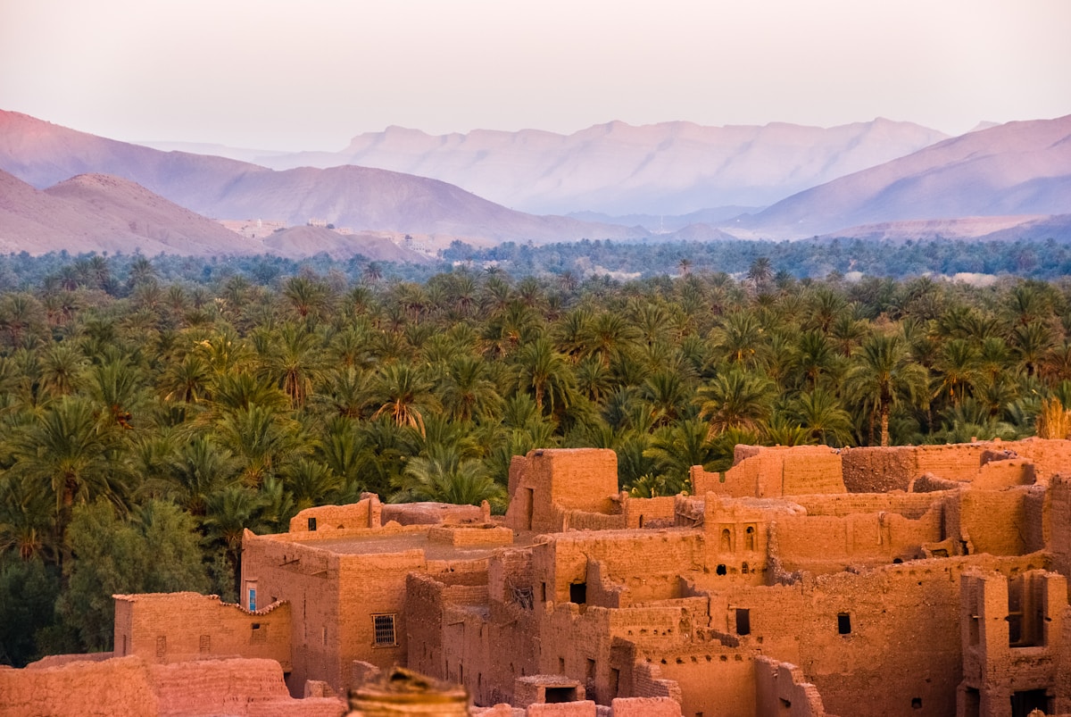 Maroc — Palmeraies, kasbahs & lumière